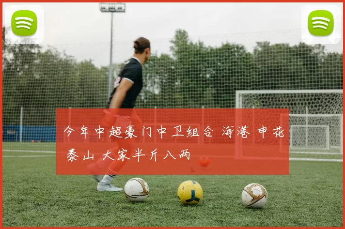 今年中超豪门中卫组合 海港 申花 泰山 大家半斤八两