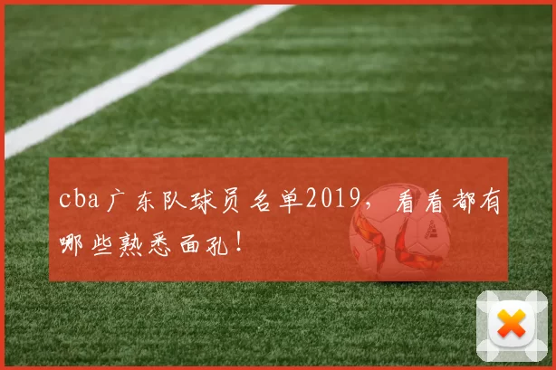 cba广东队球员名单2019，看看都有哪些熟悉面孔！