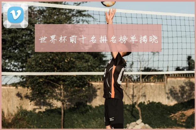 世界杯前十名排名榜单揭晓