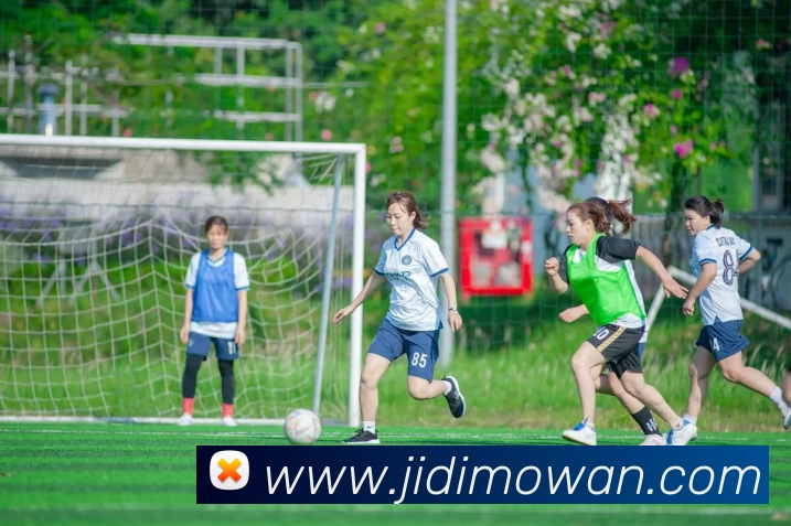 多媒体互动体验